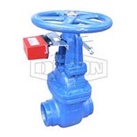 Monitored OS and Y Grooved Gate Valve