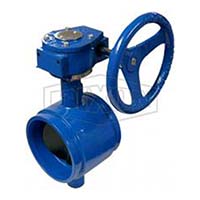 Grooved Gear Operated Butterfly Valve